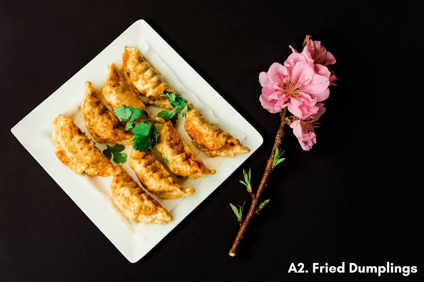 Fried Dumplings 8 Piece